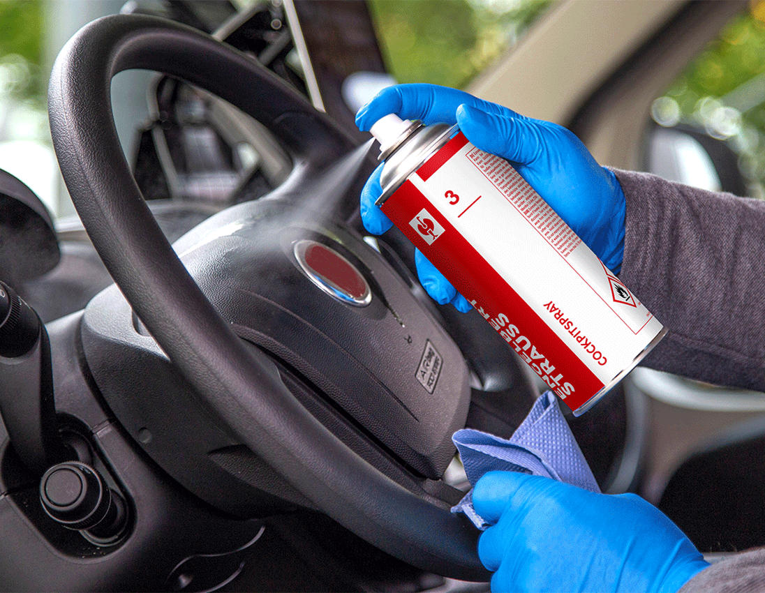 Sets: KFZ Profi Spray-Testset + Gratis Isolierbecher 4