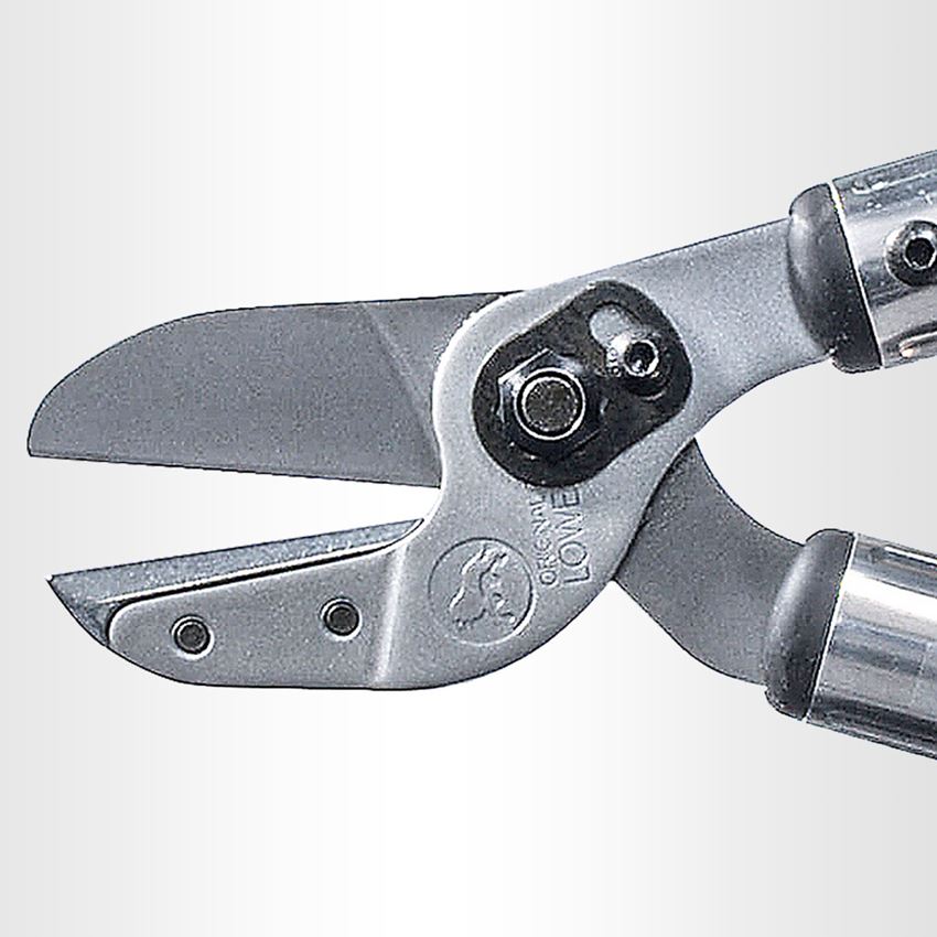 Scissors: Anvil pruning shears Löwe 20 2