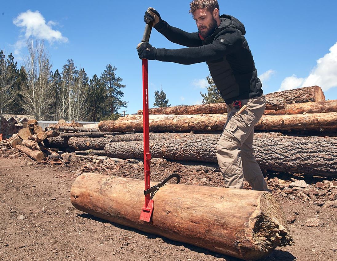 Forst-Werkzeuge: e.s. Fällheber