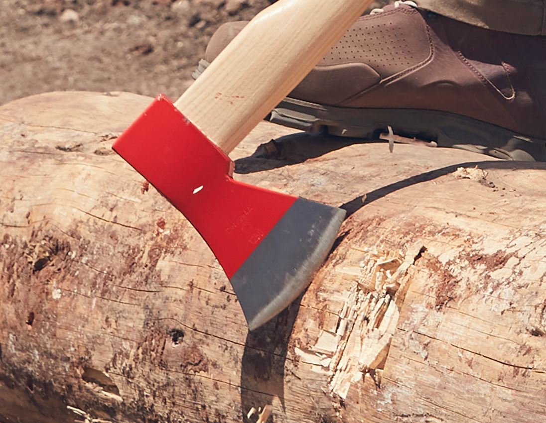 Forestry tools: e.s. Forestry axe professional 2
