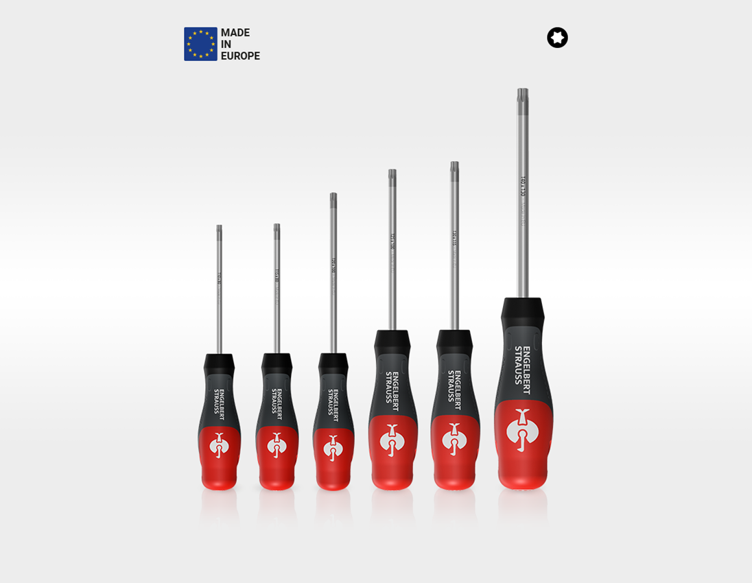 Tool Cases: Tool set Electro Master pro 6