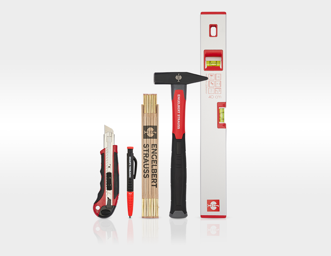 STRAUSSbox System: Werkzeug-Set Elektro Profi inkl. STRAUSSbox + schwarz 6