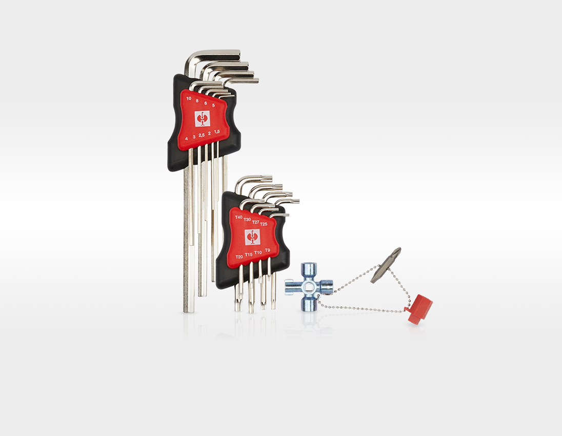 STRAUSSbox System: Werkzeug-Set Elektro Profi inkl. STRAUSSbox + schwarz 8