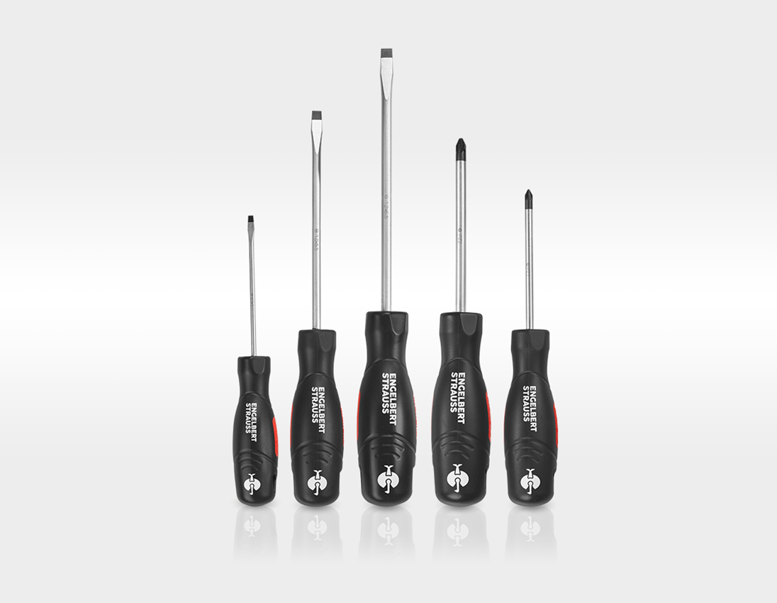 STRAUSSbox System: Multi drill screwdriver set + STRAUSSbox bag, open + black 3