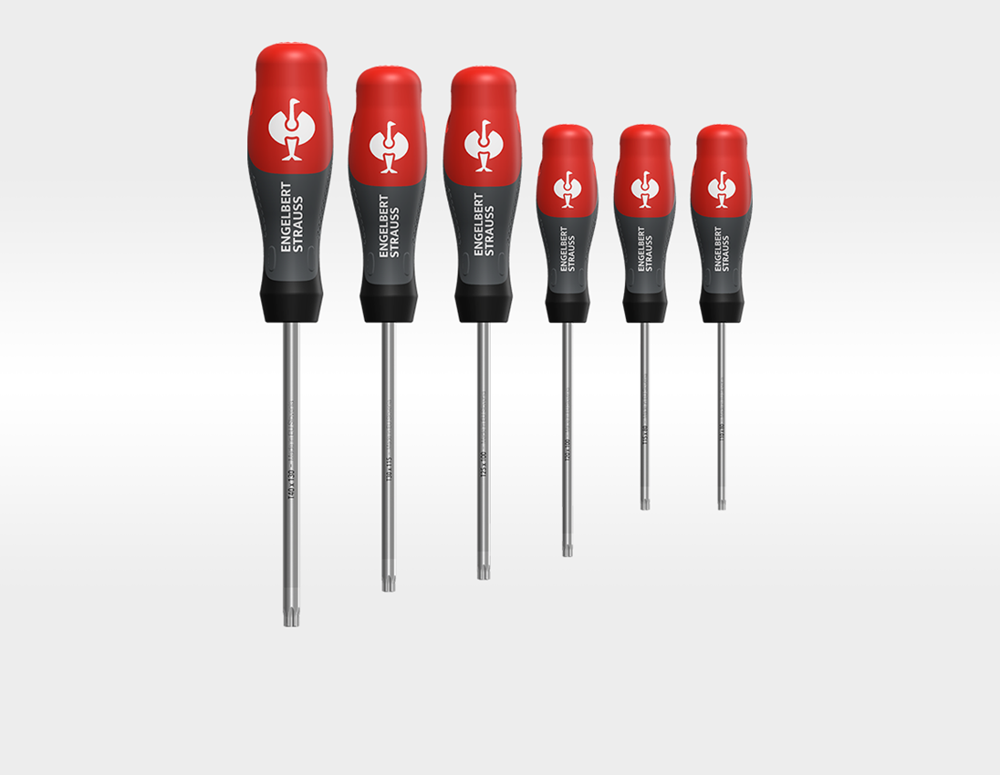 Screwdrivers: e.s. 3-C workshop screwdriver TX, 6-part 4