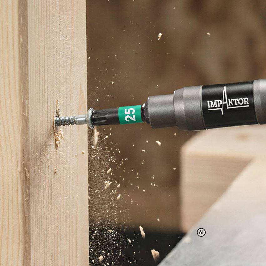 AI-generated / modified - Tools: Wera Bit-Check 10 Impaktor, 10-piece 2