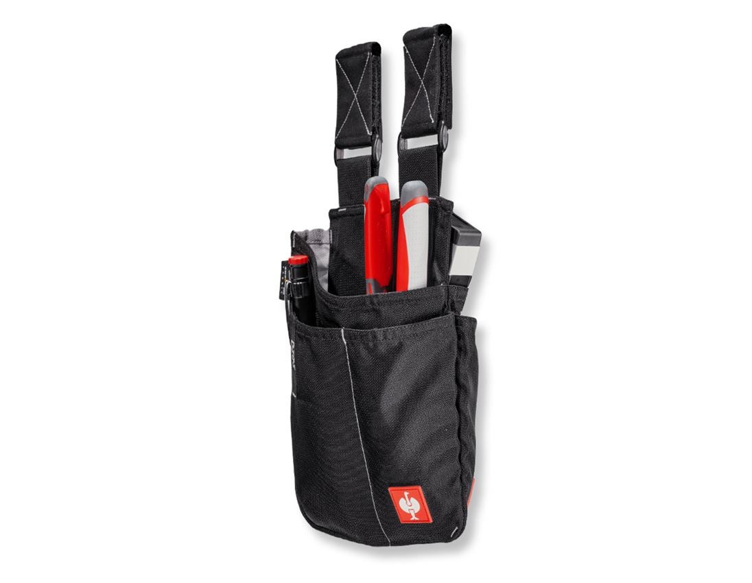 Accessoires: Werkzeugtasche e.s.motion 2020, groß + schwarz/platin