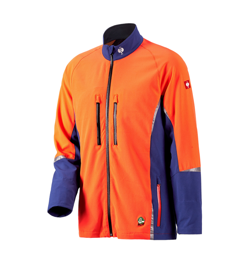 Vestes de travail: e.s. Veste forestière, KWF + bleu royal/orange fluo 2
