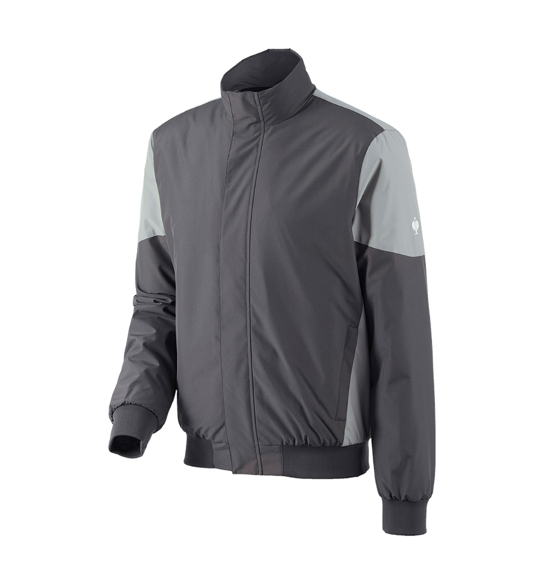 Thèmes: Blouson aviateur e.s.concrete + anthracite/gris perle 2