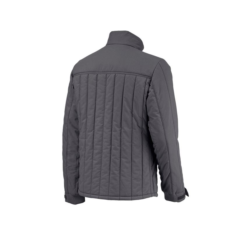Themen: Allseason Jacke e.s.iconic + carbongrau 5
