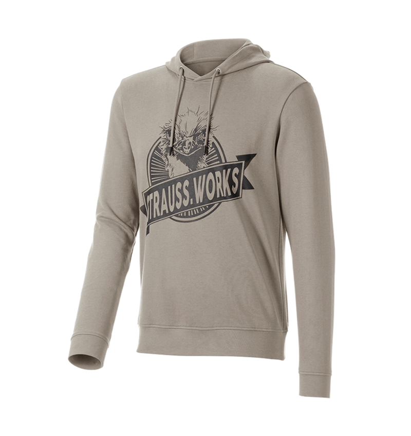 Themen: Hoody-Sweatshirt e.s.iconic works + delphingrau 4