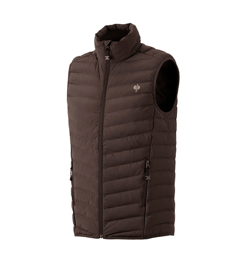 Topics: Bodywarmer e.s.motion ten + chestnut 2