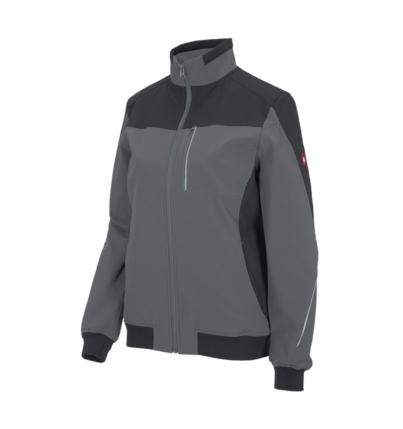 Thèmes: Veste de travail fonctionnelle e.s.dynashield, f. + ciment/graphite 2