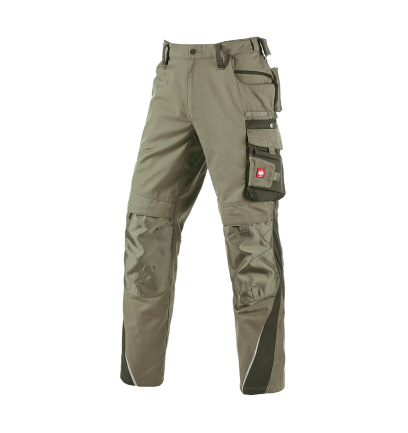 Work Trousers: Trousers e.s.motion + reed/moss 2