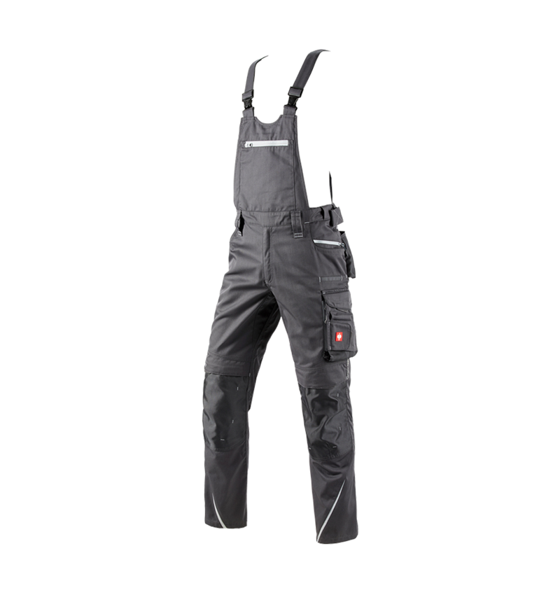 Hosen: Latzhose e.s.motion 2020 + anthrazit/platin