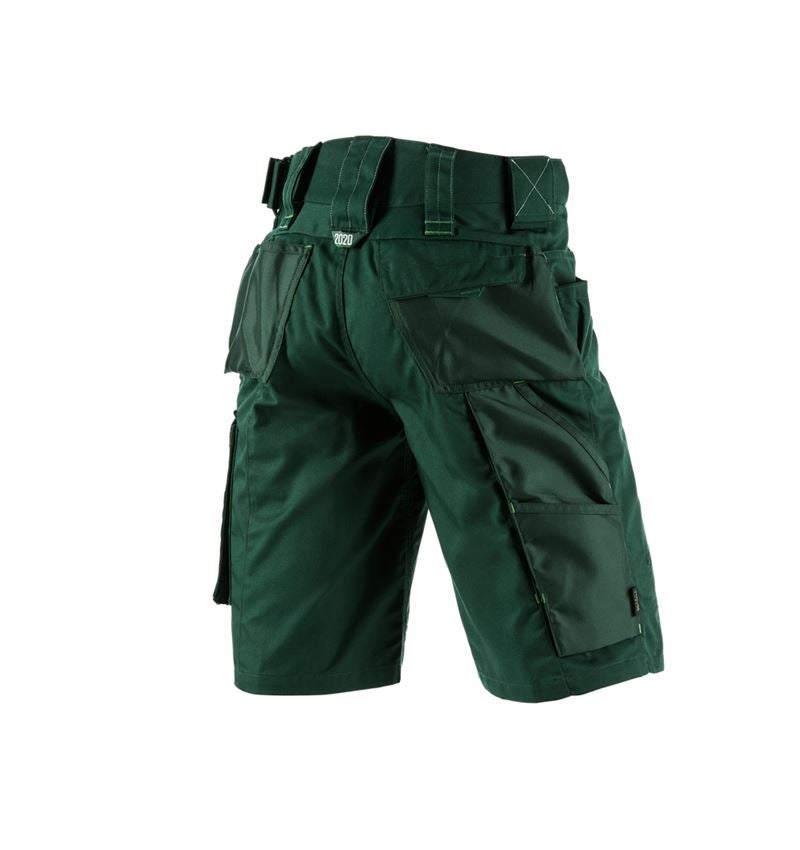 Work Trousers: Shorts e.s.motion 2020 + green/seagreen 3