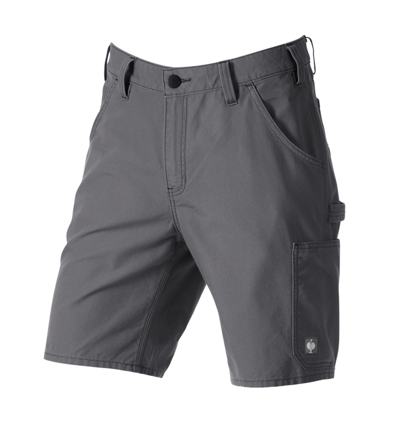 Hosen: Short e.s.iconic + carbongrau 5