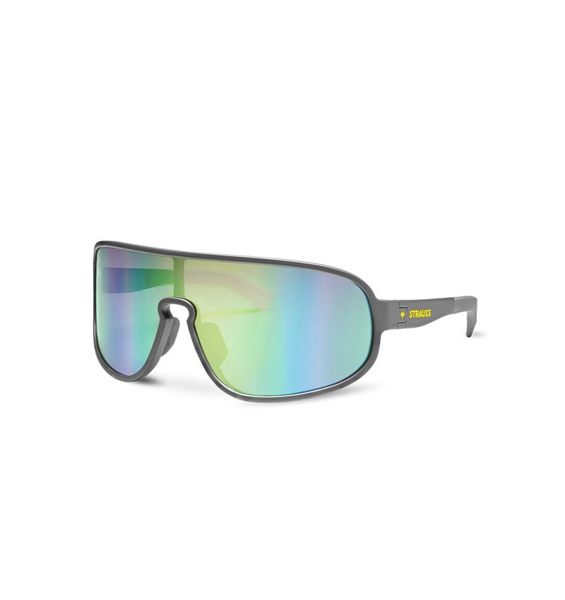 Schutzbrillen: Race Sonnenbrille e.s.ambition + anthrazit