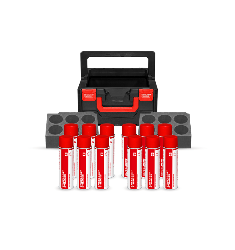 STRAUSSbox System: STRAUSSbox 215 midi tool carrier Set I
