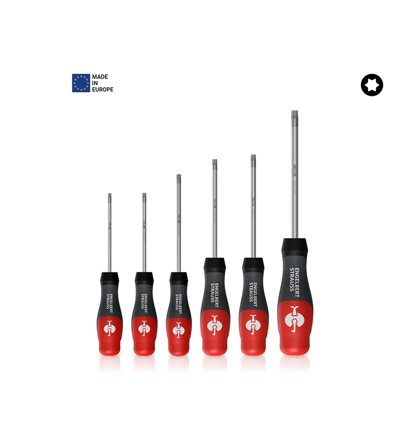 Screwdrivers: e.s. 3-C workshop screwdriver TX, 6-part