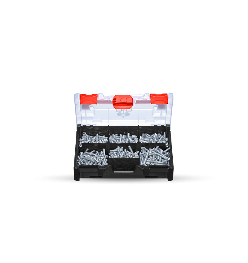 Screws: Hexagon screws DIN 933 M6 STRAUSSbox mini
