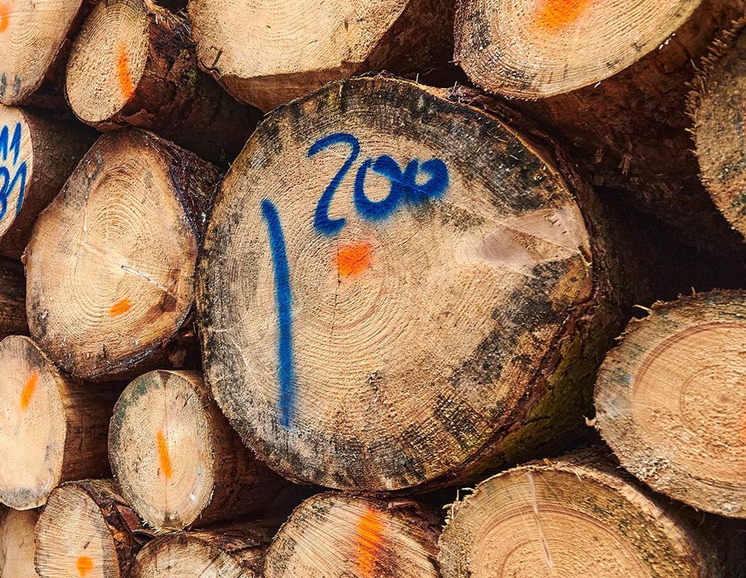 Sprays: e.s. Spray de marquage forestier Strong #68 + bleu