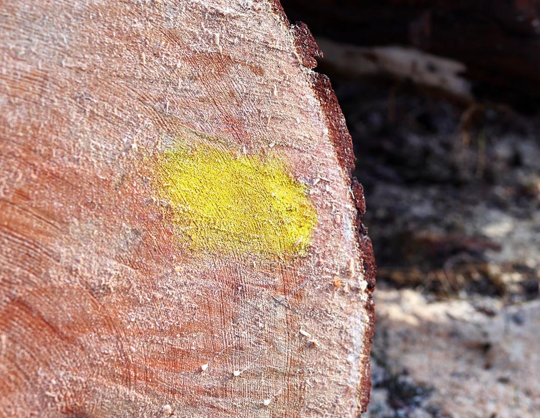 Sprays: e.s. Forestry marking spray Strong #68 + yellow