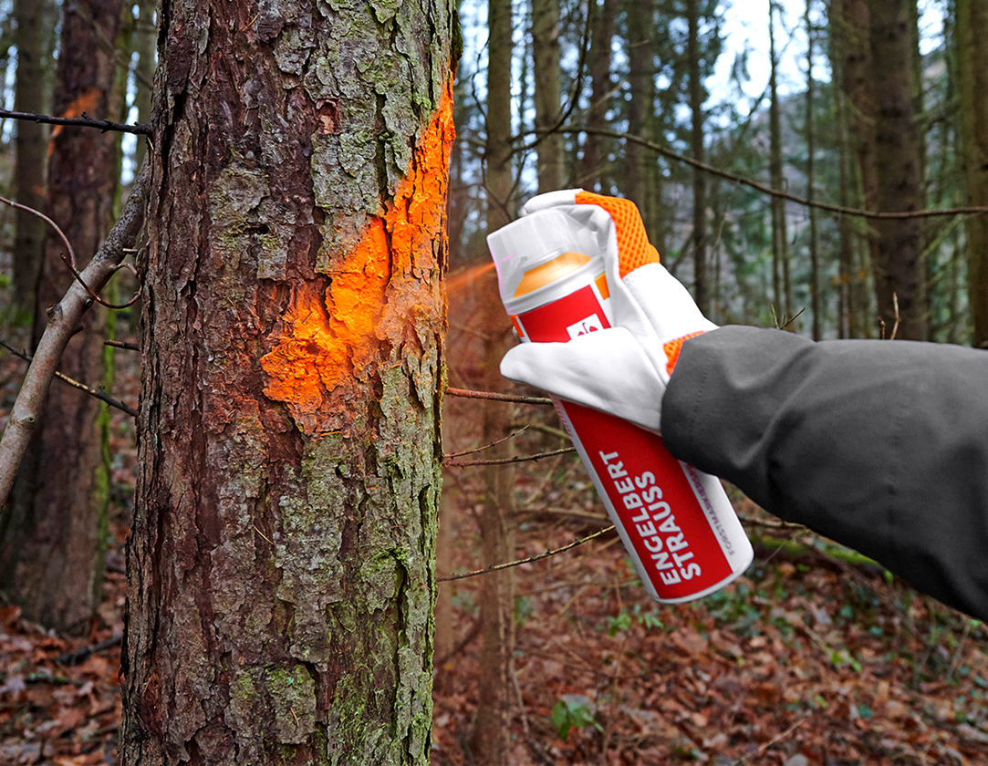 Offres du mois: e.s. Spray de marquage forestier Neon #67 + orange vif