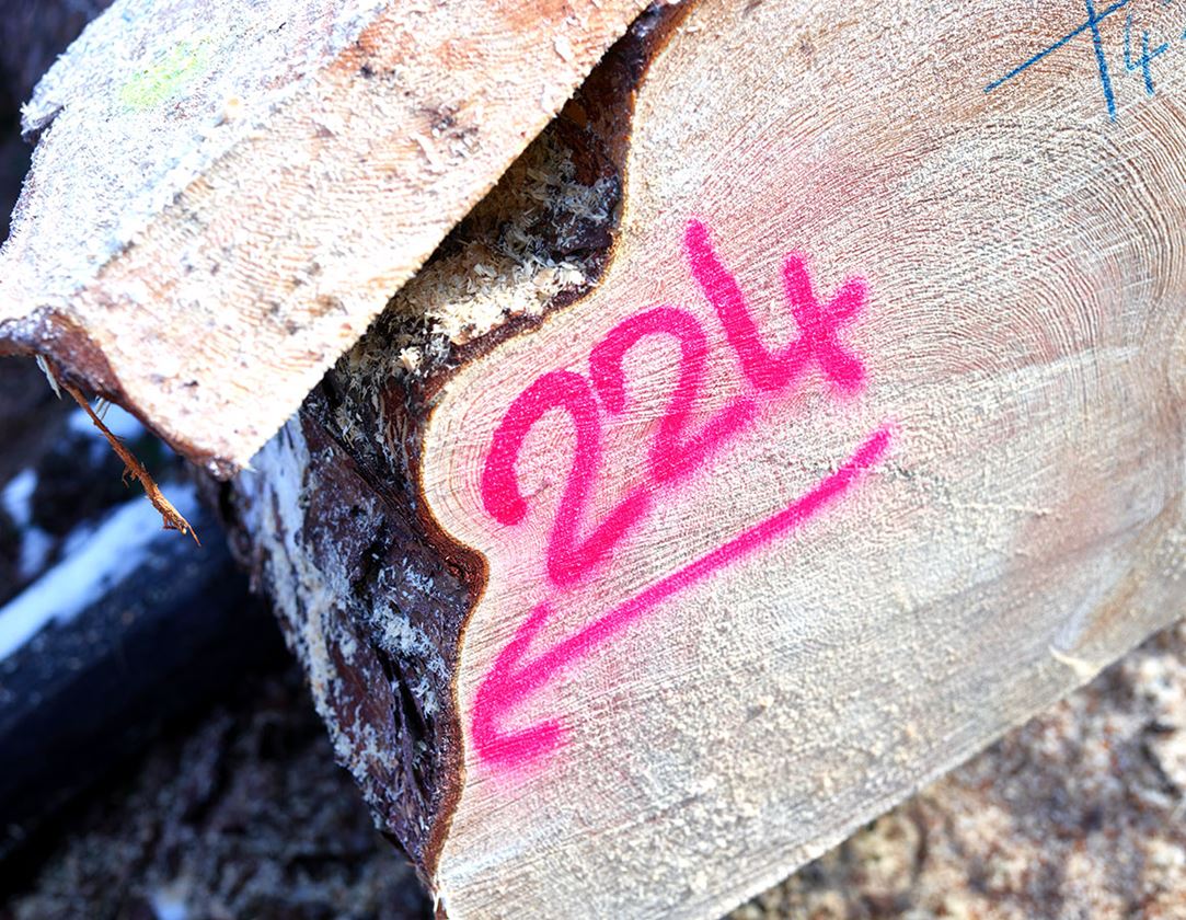 Offres du mois: e.s. Spray de marquage forestier Neon #67 + rose vif