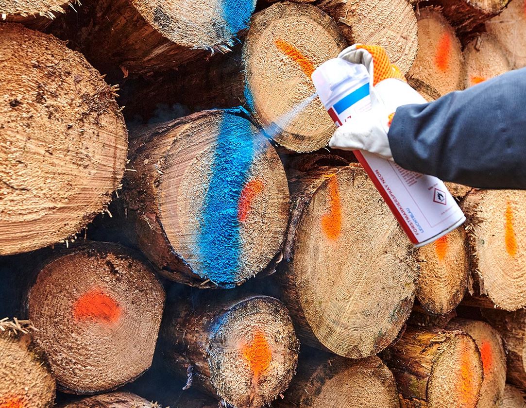 Offers of the month: e.s. Forestry marking spray Neon #67 + fluorescent blue