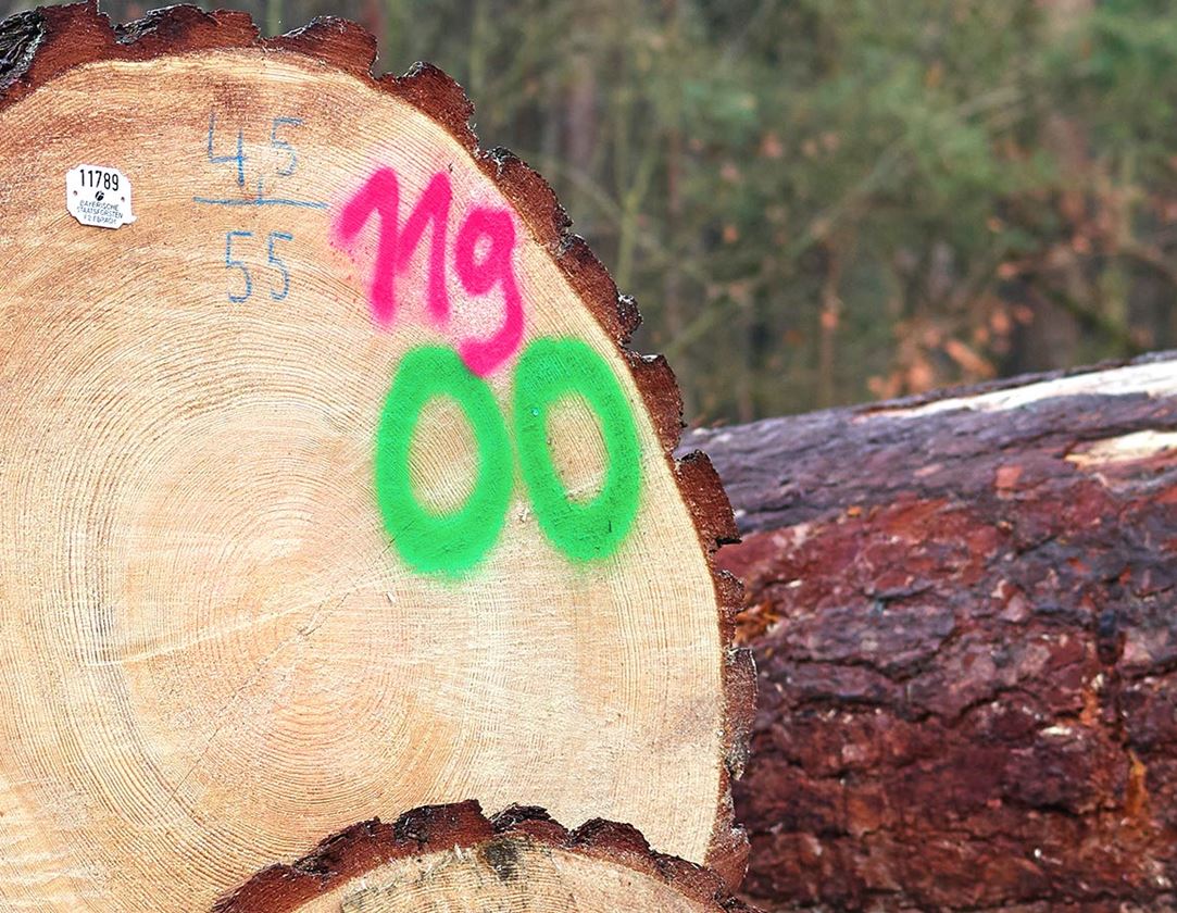 Offers of the month: e.s. Forestry marking spray Neon #67 + fluorescent green