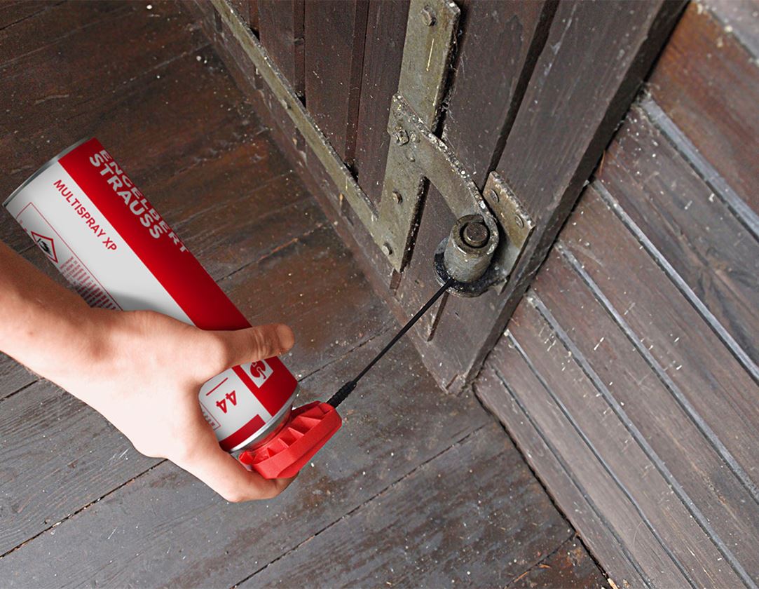 Offers of the month: e.s. multispray xp, 500ml #44 6