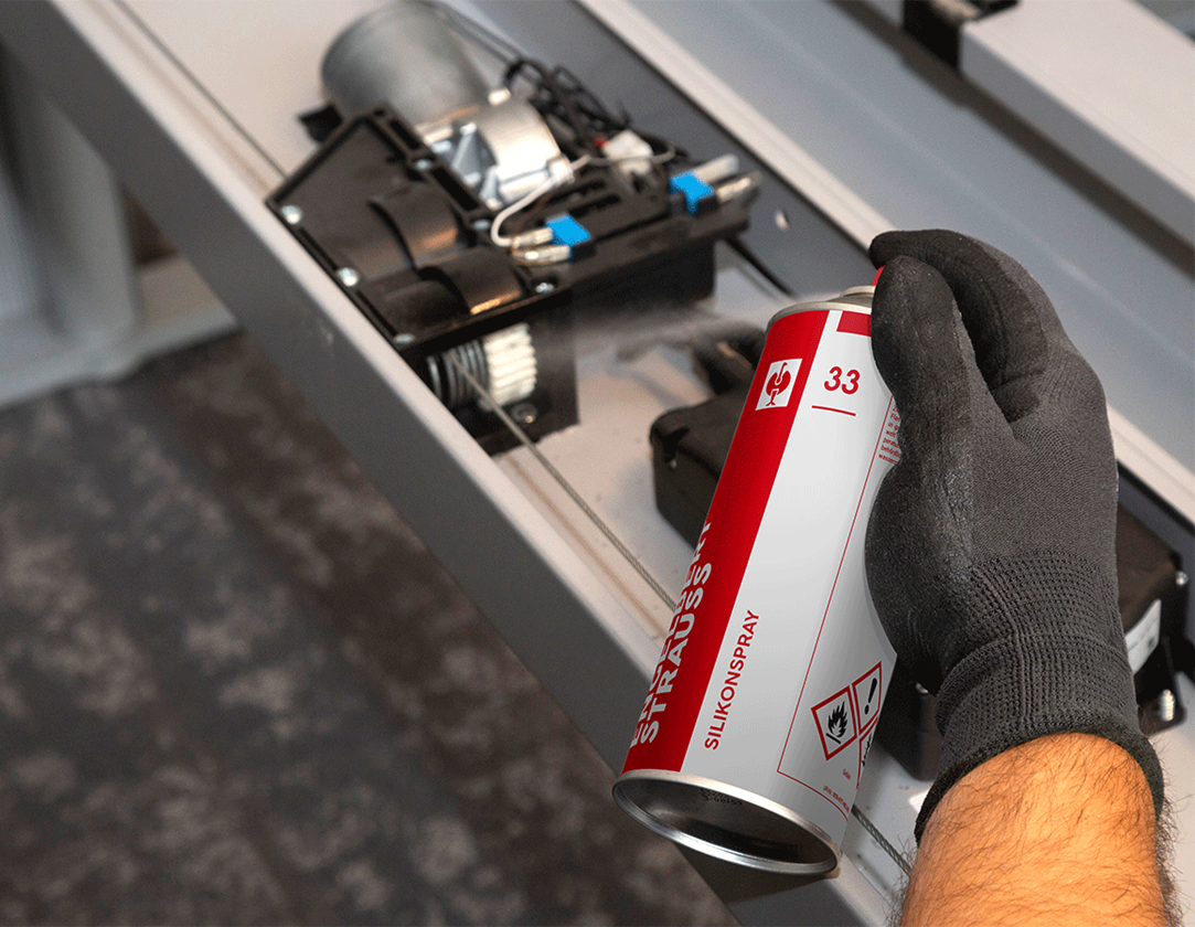 Offers of the month: Silicone Spray #33 3