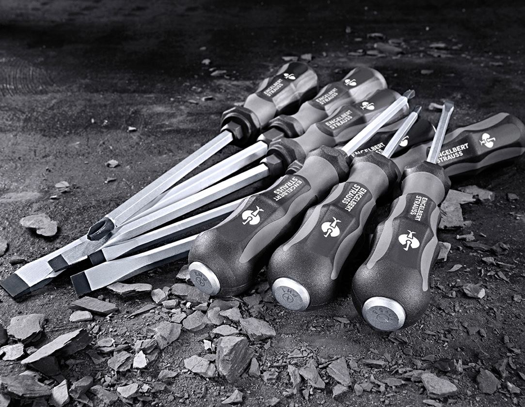 Screwdrivers: e.s. Power screwdriver set scalpro
