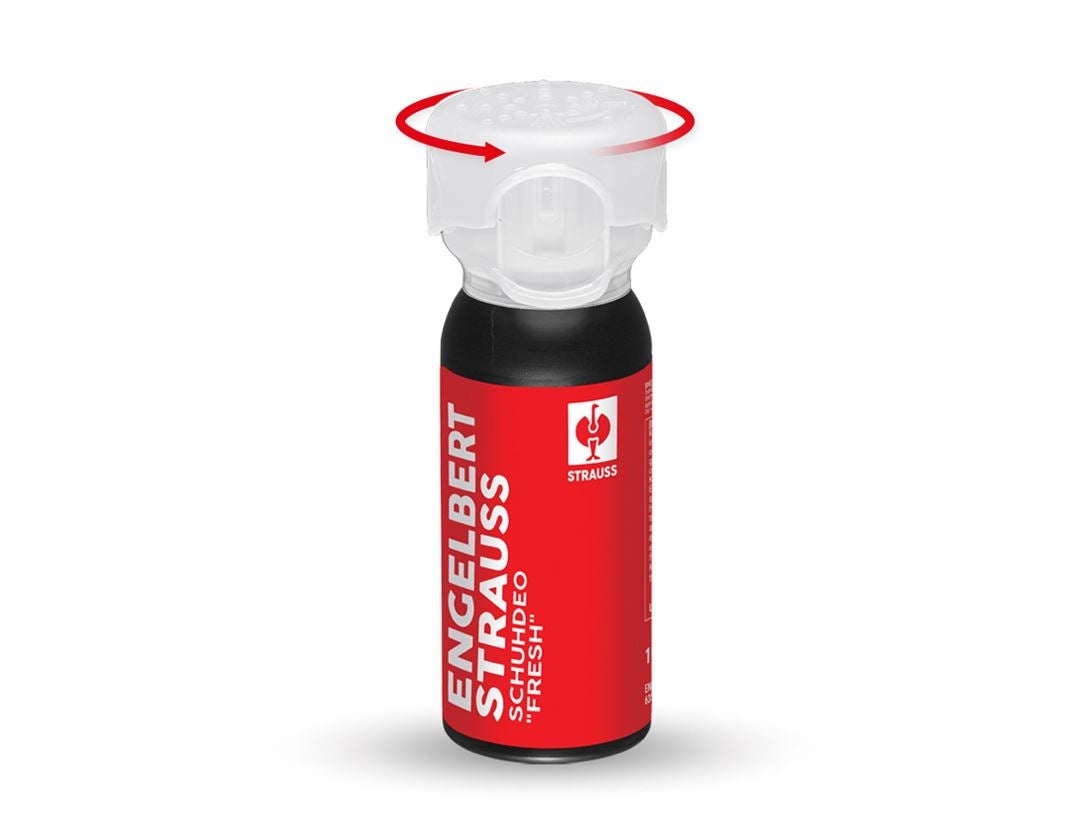 Produits de soins	: e.s. Déodorant pour chaussures fresh