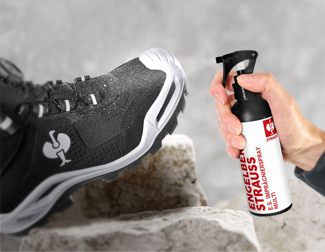 Shoe Care Products: e.s. Impregnation spray multi