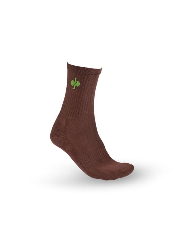 Socks: e.s. Allround socks Classic light/high, pack of 3 + chestnut/seagreen
