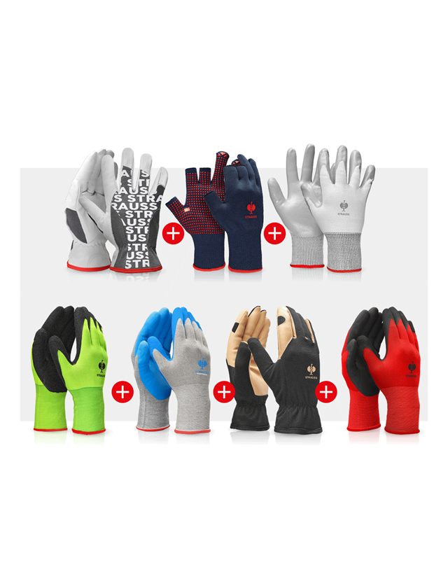 Sets | Accessories: Gloves TEST SET Assembly