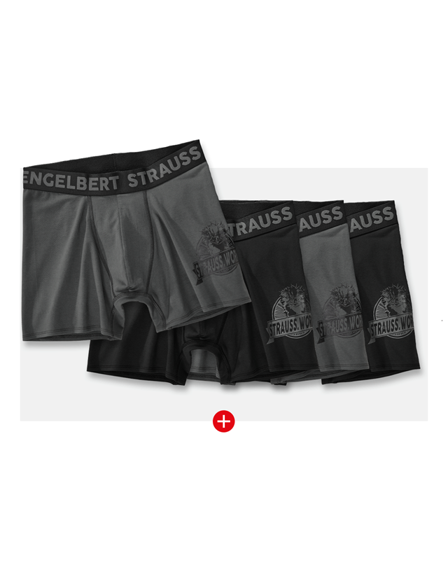 Underwear | Functional Underwear: SET: 4x Long-leg pants e.s.iconic + carbongrey+black