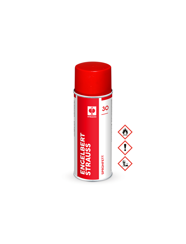 Offers of the month: Spray-on Grease #30