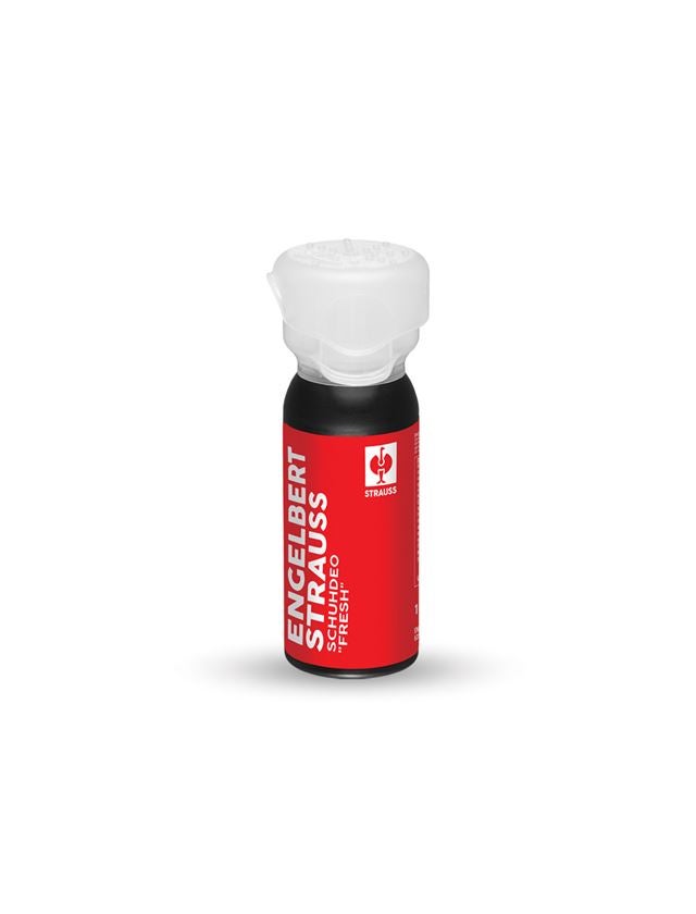 Produits de soins	: e.s. Déodorant pour chaussures fresh