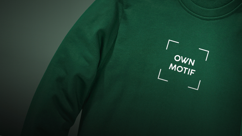 Sweatshirt with print and embroidery embellishment