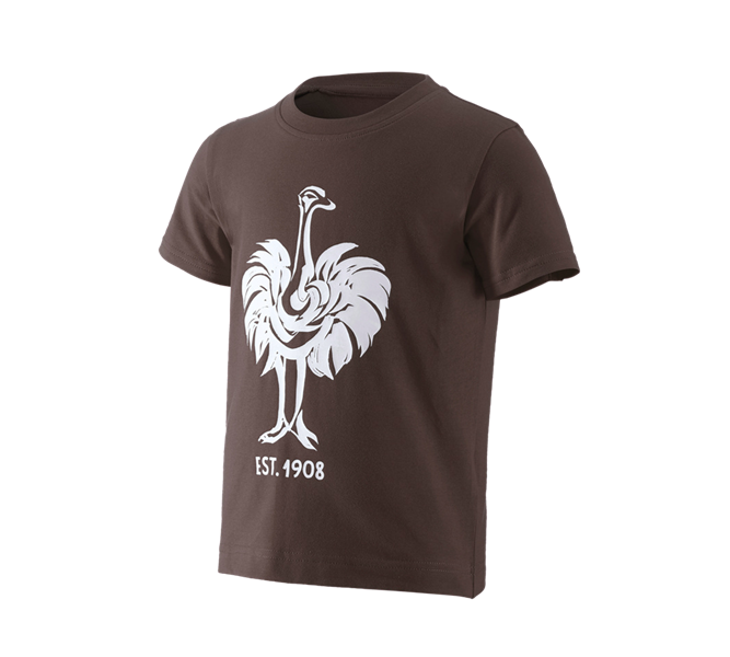 Hovedvisning, T-Shirts, Pullover & Skjorter, e.s. T-shirt 1908, børne, kastanje/hvid