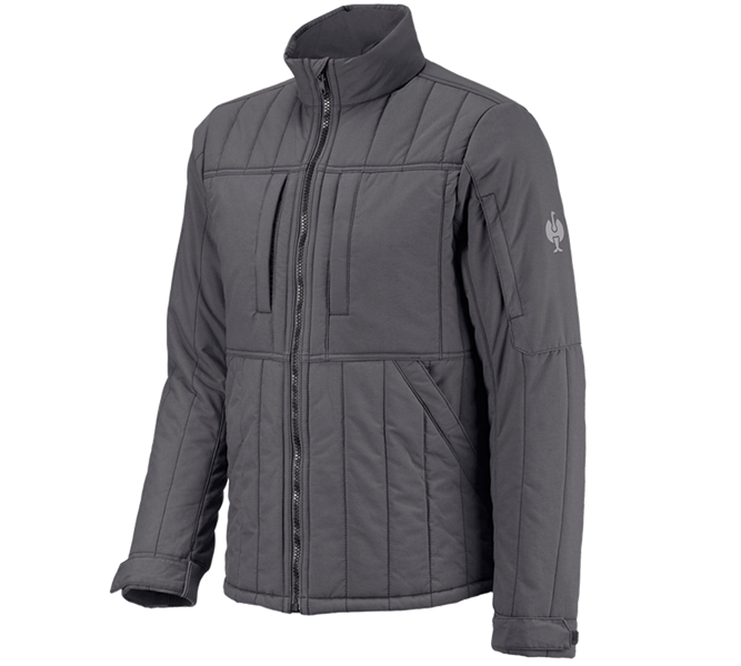 Main view, Clothing, All-season jacket e.s.iconic, carbongrey