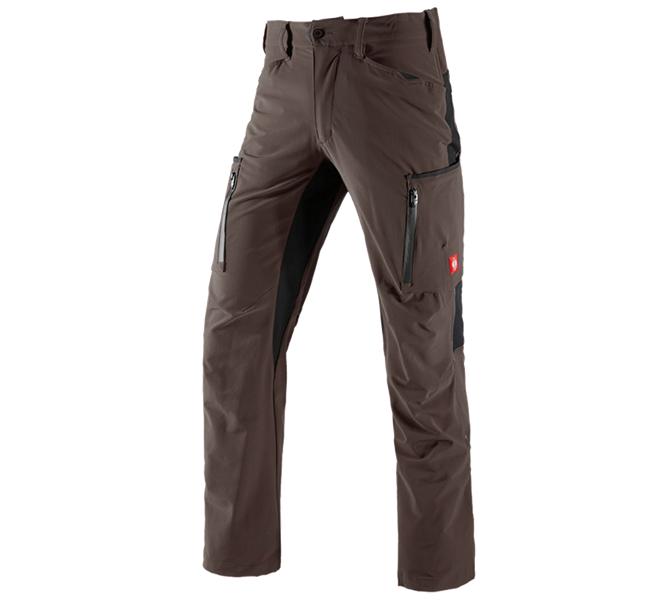 Main view, Gardening / Forestry / Farming, Cargo trousers e.s.vision stretch, men's, chestnut/black