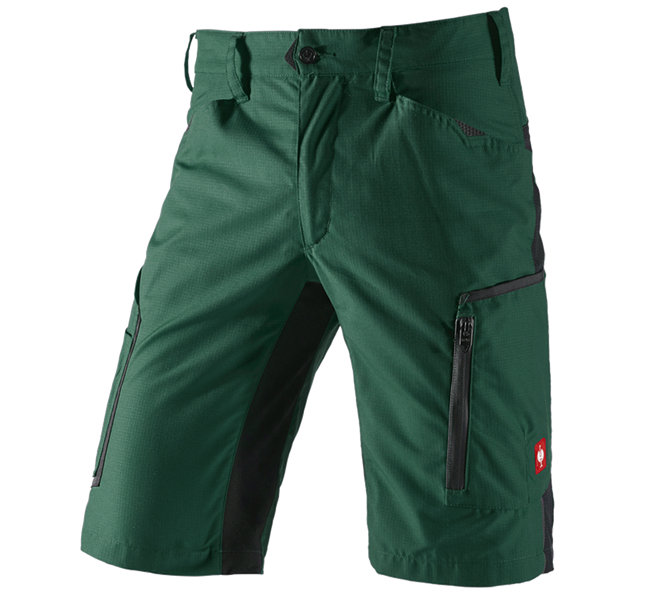 Main view, Gardening / Forestry / Farming, Shorts e.s.vision, men's, green/black
