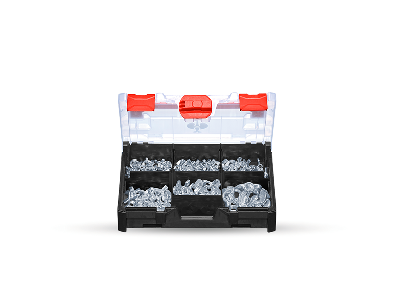 Main view, Assortment of nuts, Wing nuts Americ. Form in STRAUSSbox mini