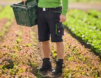 Visning, Softshell&shy;jakke e.s.​motion 2020, sort/havgrøn