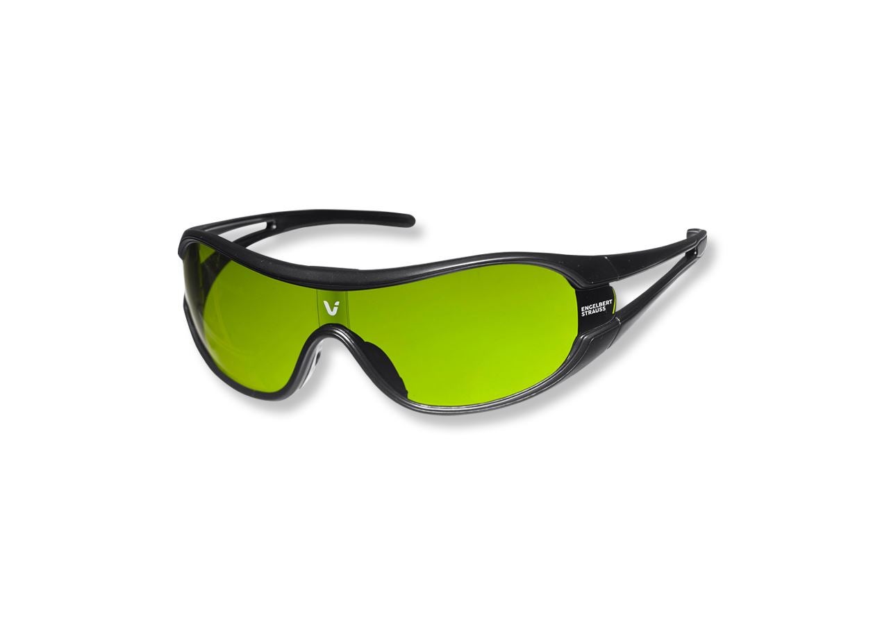 Emner: Svejserbrille e.s.vision