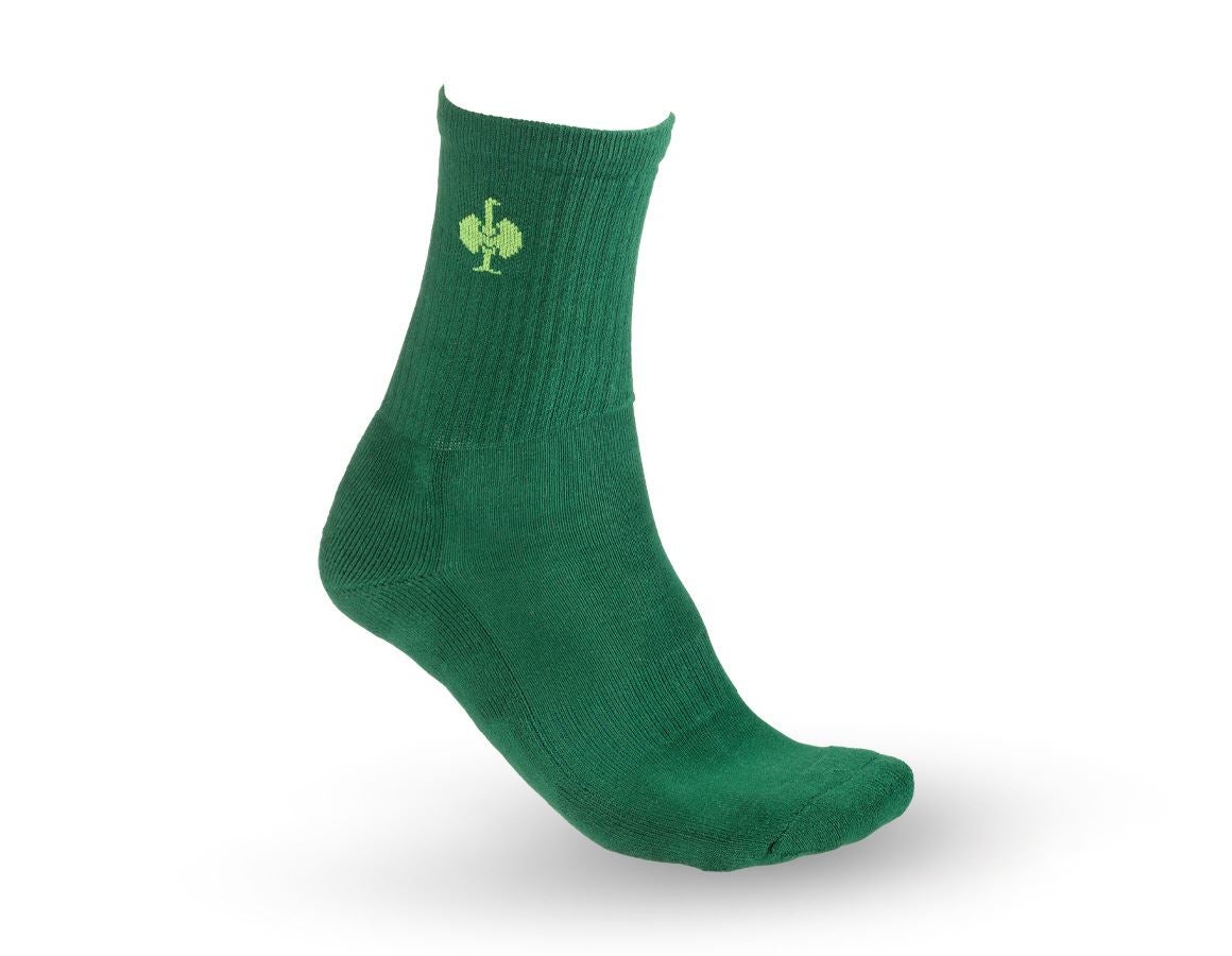 Sokker | Strømper: e.s. allroundsokker Classic light/high,pakke med 3 + grøn/havgrøn